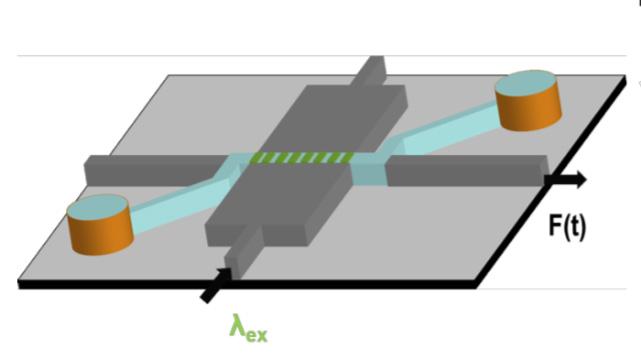 Optofluidic chip