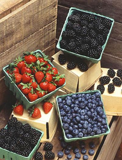 Fresh Fruit Harvests