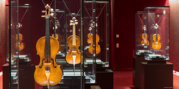 Historical violins from the collection at the Antonio Stradivari Violin Museum, ‘Scrigno dei Tesori’ room.