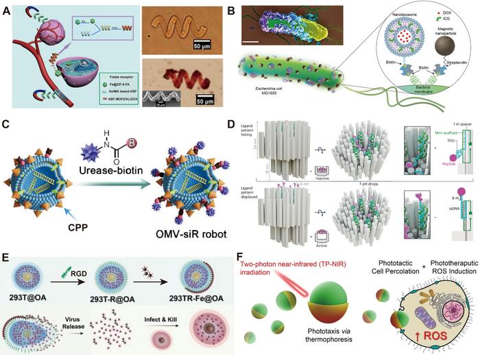 Fig. 2. Design of agents for tumor cell killing.