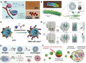 Fig. 2. Design of agents for tumor cell killing.