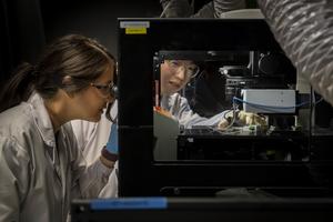 New biomaterial developed by NUS researchers shows how ageing in the heart could be reversed (Photo 2)