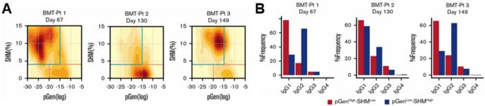 Figure 3. Two repertoire populations identified early after BMT (article Figure 4A and 4C)