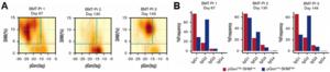 Figure 3. Two repertoire populations identified early after BMT (article Figure 4A and 4C)