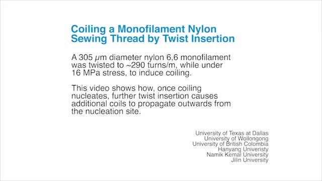 Spinning Yarn Into Muscles (3 of 16)