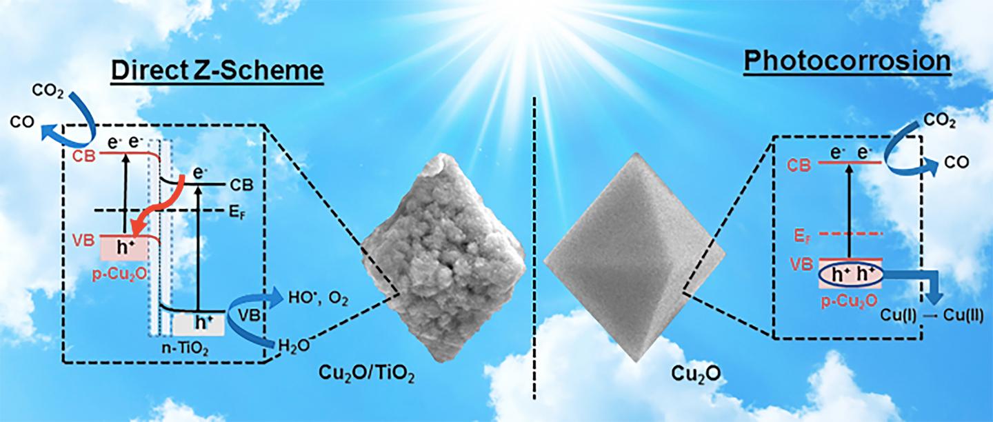 Z-Scheme Mechanism of Photosynthesis