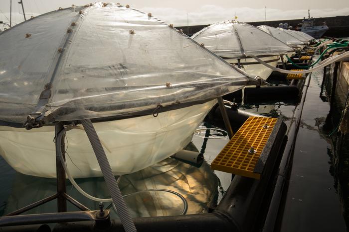 Ocean alkalinity mesocosm