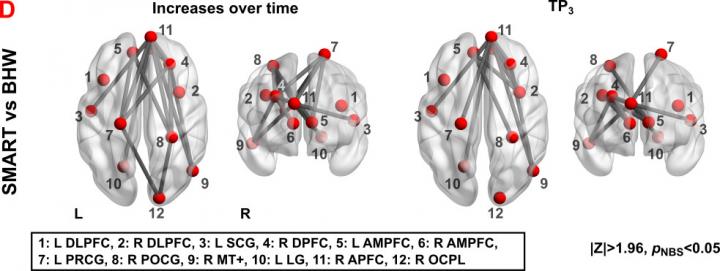 Strategy-Based Brain Training Vs. Knowledge-Based Training