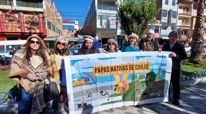 Guardians of native potatoes: rural women preserving the seeds of the Andes