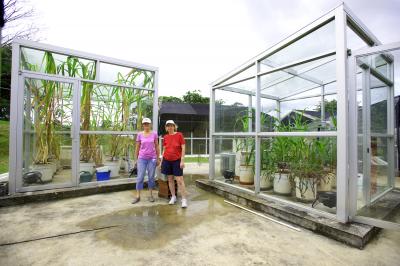 Teosinte Comparison