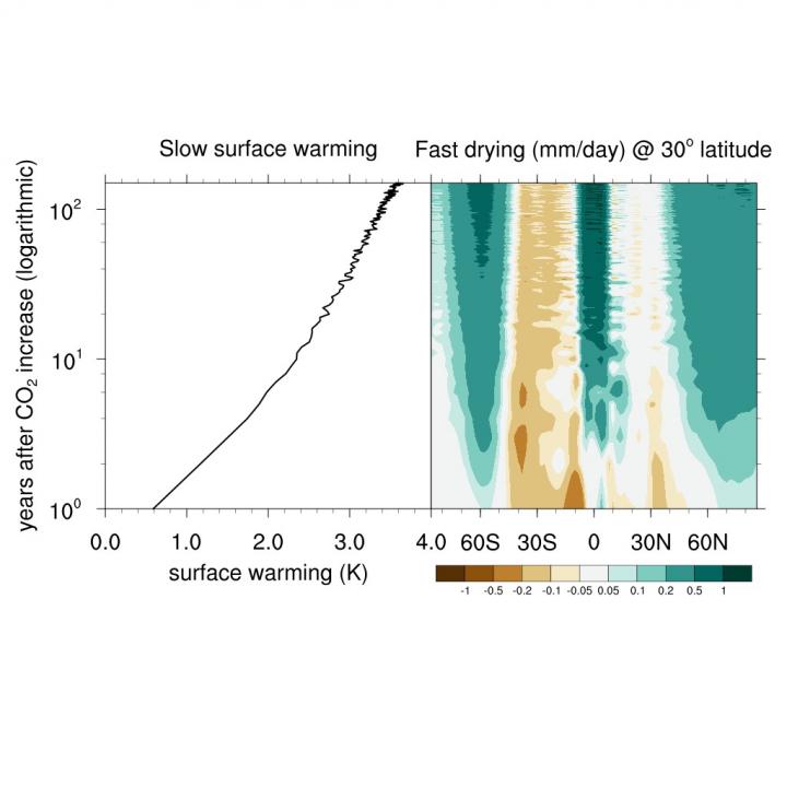 Fast Rainfall Decline v. Slow Surface Warming