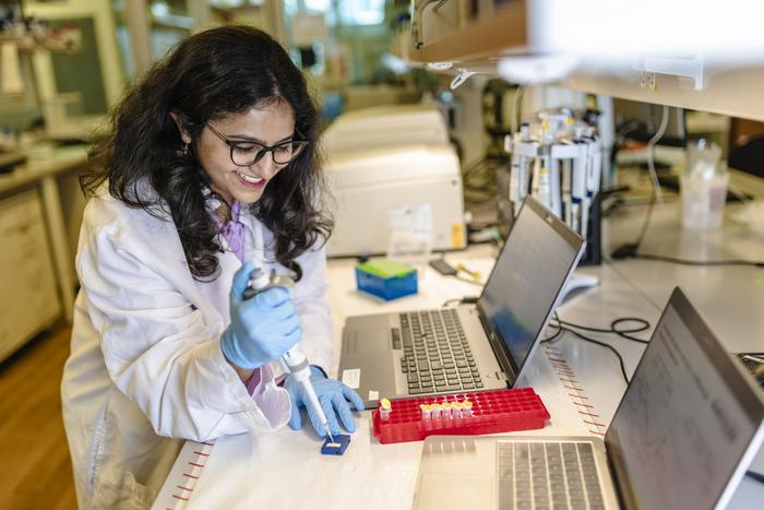 Sleep cycle hormones study