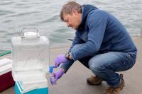 Stepanauskas Collecting Sample