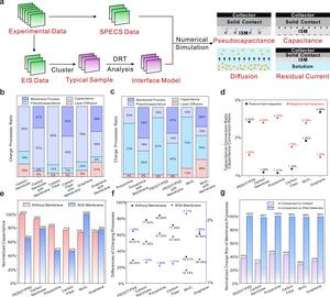 New Strategy Suggested to Boost Performance of All-Solid-State Ion-Selective Electrodes