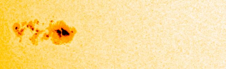SDO Views a Sunspot
