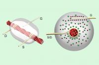 Thread Based Transistor