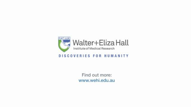 Associate Professor Wai-Hong Tham Explaining Malaria Research