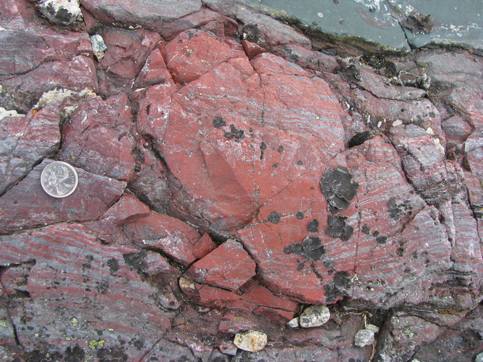 Ancient rock containing microfossils