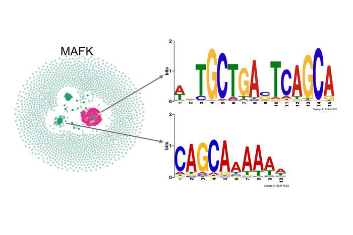 KMAP Figure 1