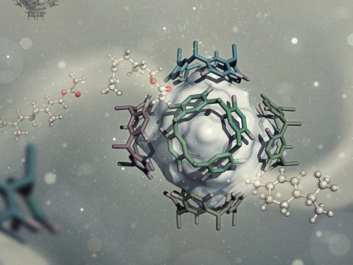 Octahedral Cage of the Catalyst