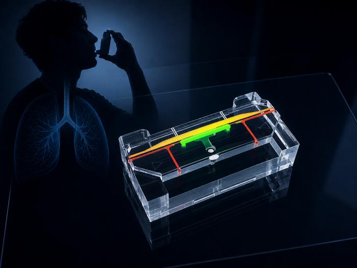 Lung-on-a-chip