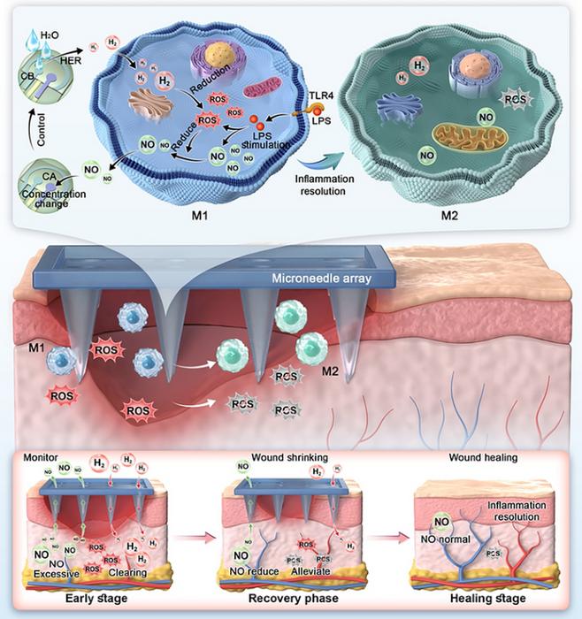 Closed‑loop synergistic nitric oxide/hydrogen delivery with
