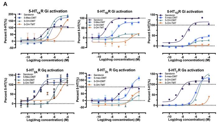 Figure 2. Bufotenine derivatives acting at six depression-related serotonin receptors.