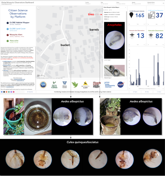 Global Mosquito Observations Dashboard