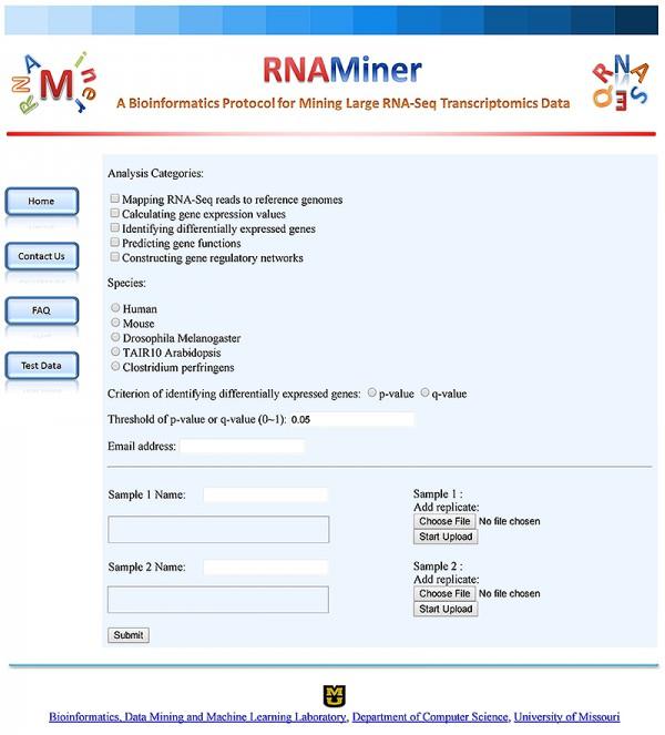 RNAMiner