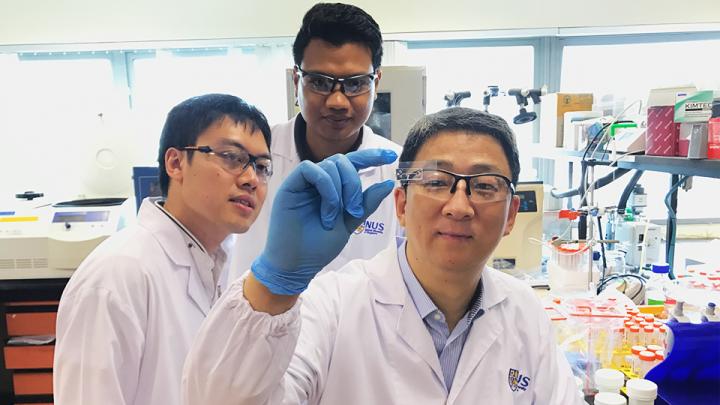 NUS Engineering Nano-Bioparticle Microfluidic Chip (1 of 2)