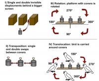 Schematic Presentation