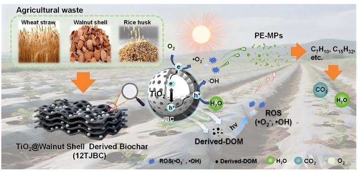 Synergetic polyethylene microplastic photodegradation over core–shell TiO2/biochar: unraveling the dual roles of interfacial bonding and biochar-derived DOM