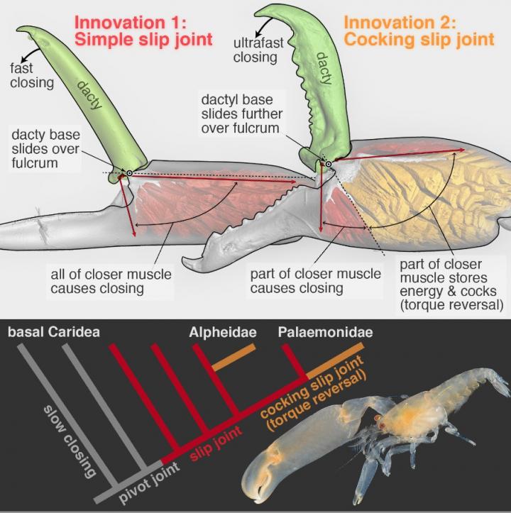 Graphical Abstract 