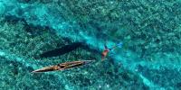 Spearfishing