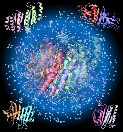 Protein-protein Interface Space