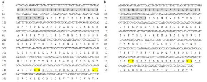 Nucleotides and deduced amino acid sequences of pmcha and pmchb from Siberian sturgeon.