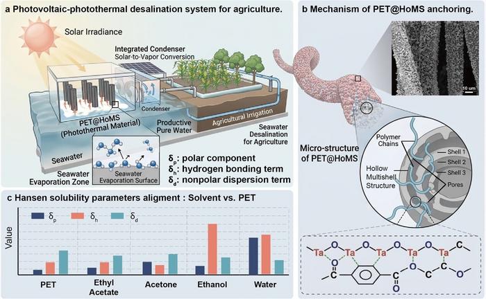 Schematic illustration of the integrated photovoltaic-photothermal hybrid desalination system for sustainable agriculture