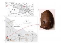 Skull and Map