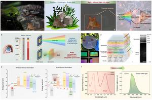 Figure 1. Architecture design and operational mechanism.
