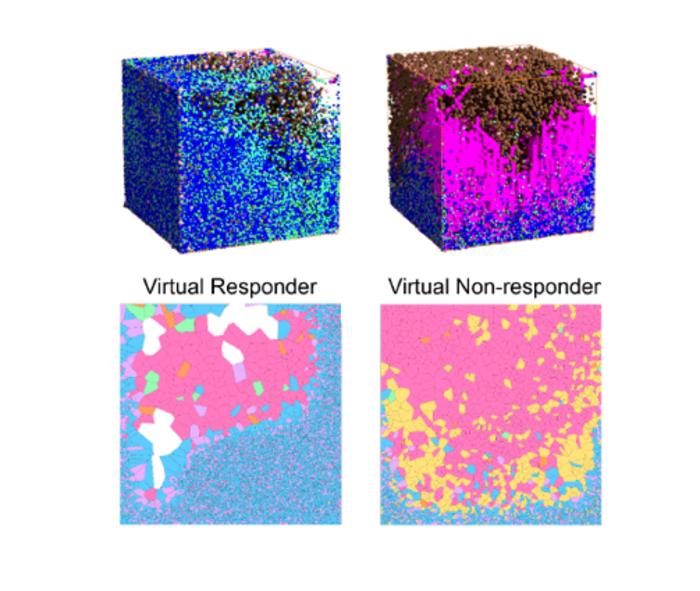 3D Simulated Tumor