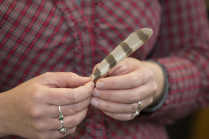 Feather