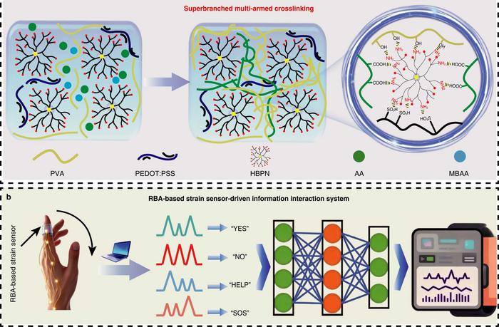Design and applications of the RBA conducting polymer hydrogel.