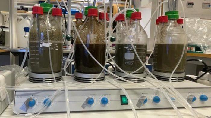Sourcing phosphorus from seabed