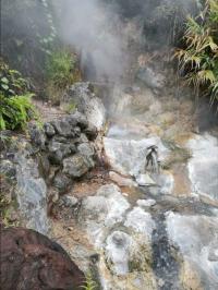 Tibetan Hot Spring