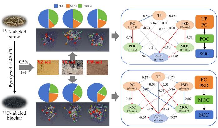 Differences in the physical protection mechanisms of soil organic carbon with 13C-labeled straw and biochar