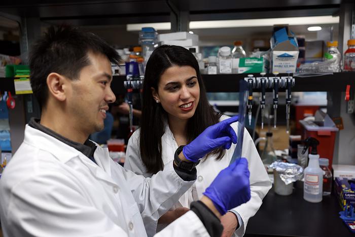 Corina Amor Vegas