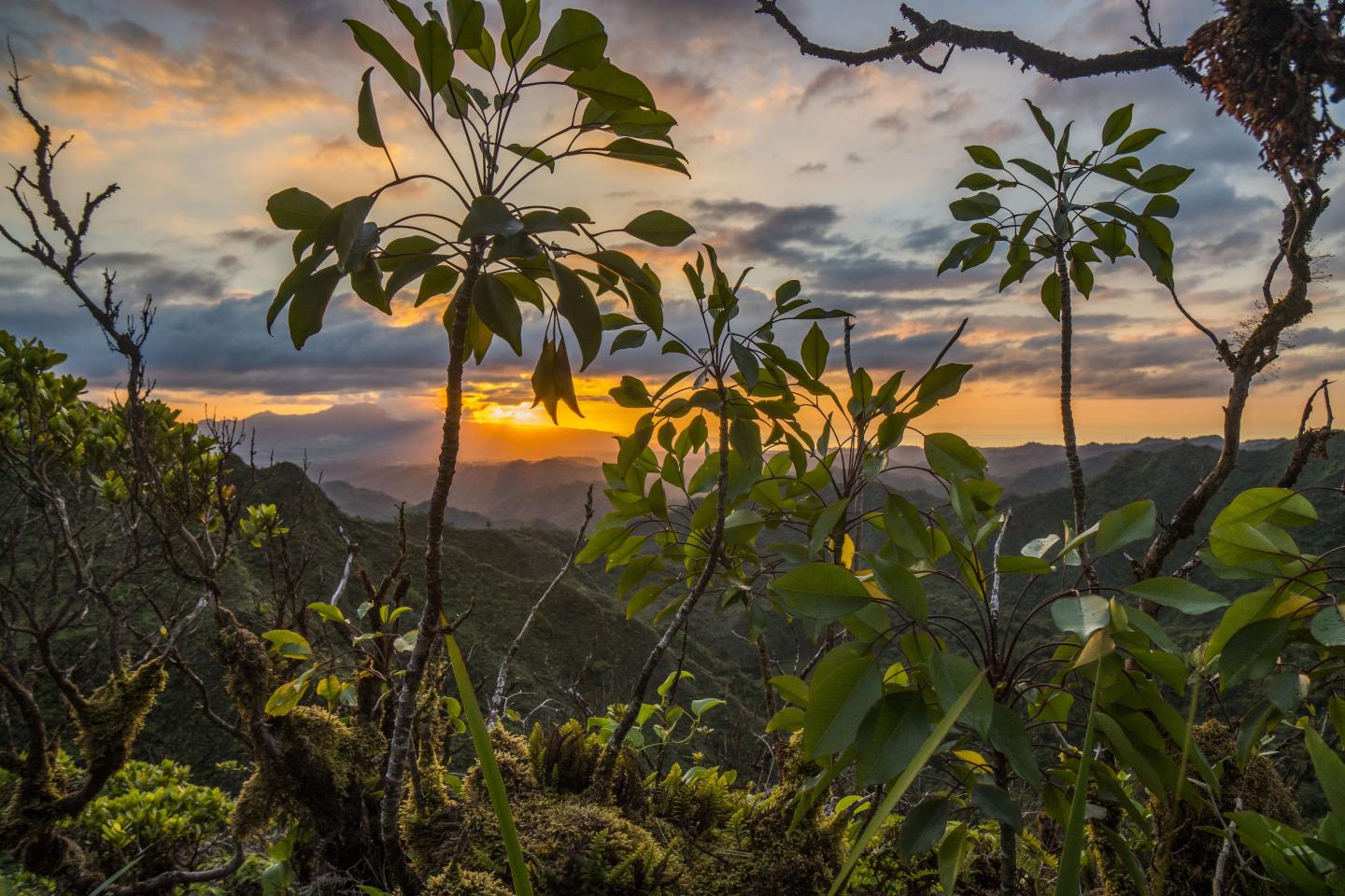 Ko'olau Mountain Range on Oahu -- The Third Largest of the Hawaiian Islands.
