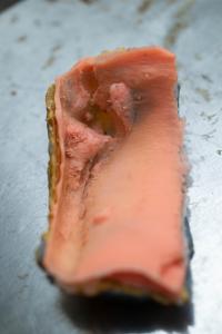 Silicone Peel of Teenage T. rex Puncture Marks
