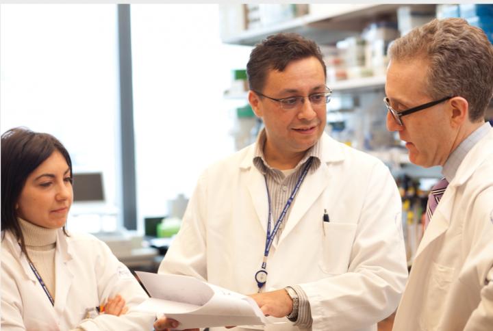 Taha Merghoub, Jedd Wolchok and Roberta Zappasodi