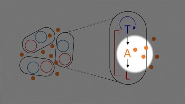 Scale Invariance